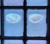 Winterreise